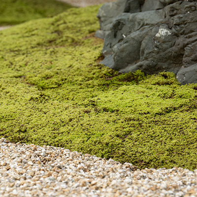 ホテル八ツ お部屋のベッド