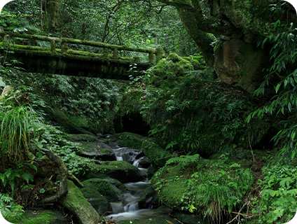 山中温泉　鶴仙渓